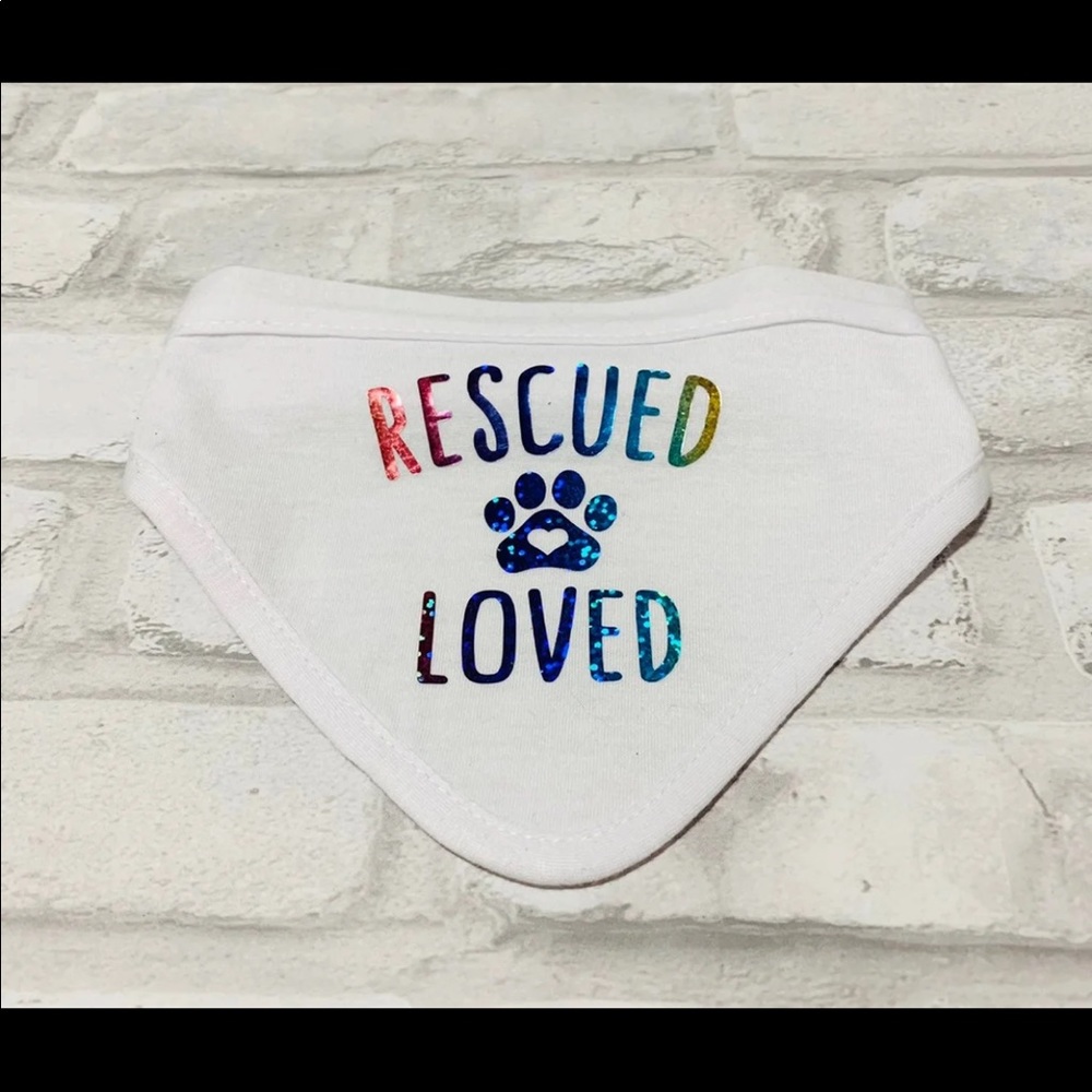 Holographic pet bandana